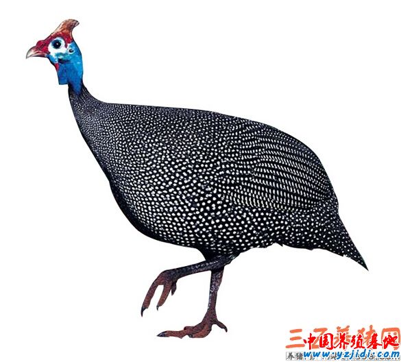 QQ截圖20141117160931.jpg