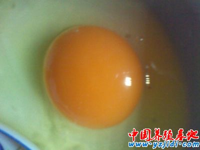 無精蛋圖1