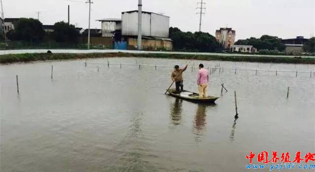 按此在新窗口瀏覽圖片
