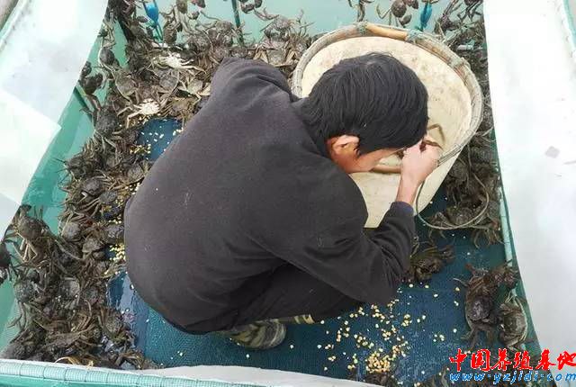 按此在新窗口瀏覽圖片
