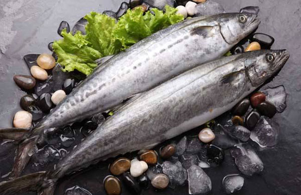 鲅魚和秋刀魚的區別