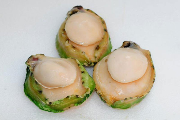 青邊鮑