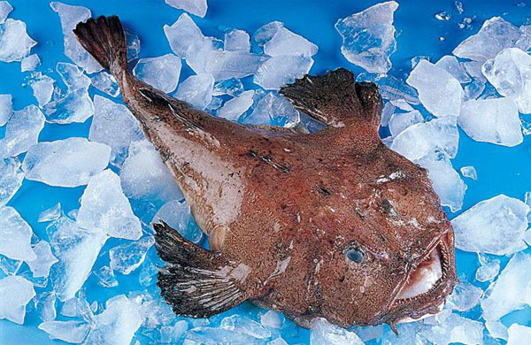安康魚多少錢一斤？