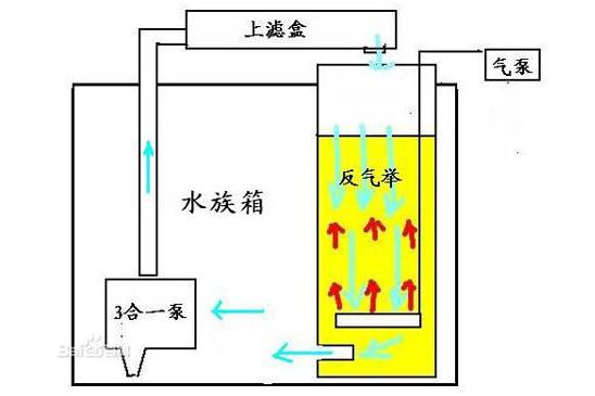 魚友創造的反氣舉過濾原理