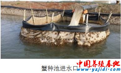按此在新窗口瀏覽圖片