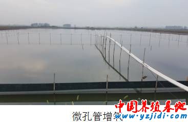 按此在新窗口瀏覽圖片