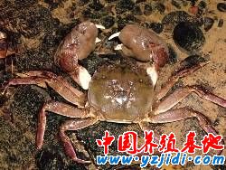 按此在新窗口瀏覽圖片