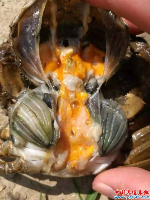 按此在新窗口瀏覽圖片