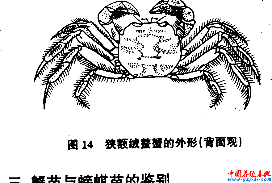 按此在新窗口瀏覽圖片