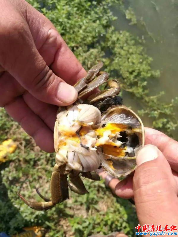 按此在新窗口瀏覽圖片