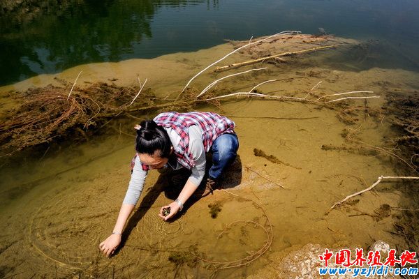 按此在新窗口瀏覽圖片
