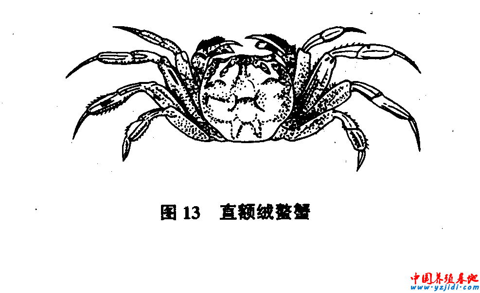按此在新窗口瀏覽圖片