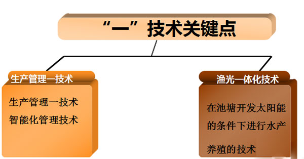 365養殖模式“一”技術詳情解析