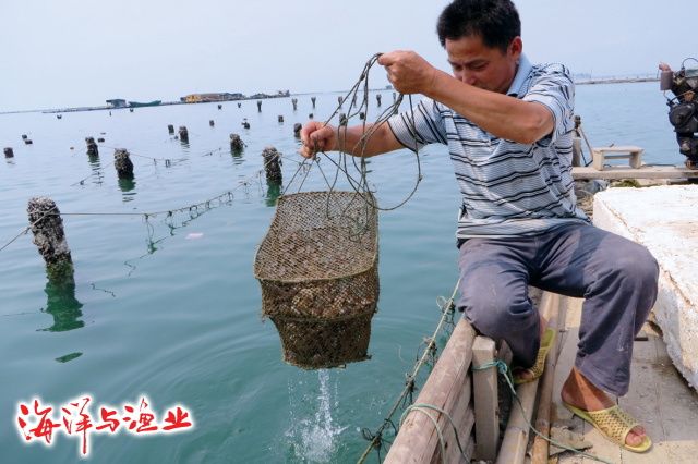 按此在新窗口瀏覽圖片
