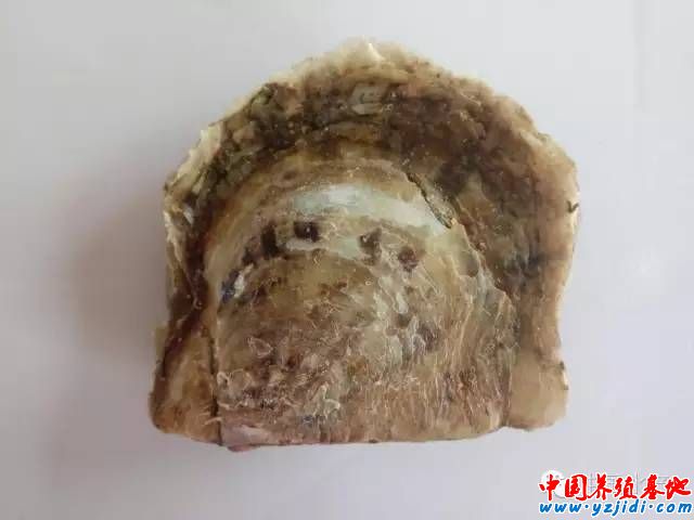 按此在新窗口瀏覽圖片