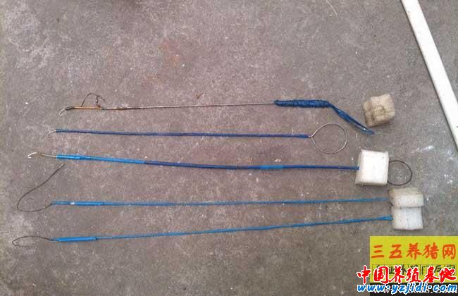 釣黃鱔有什么技巧
