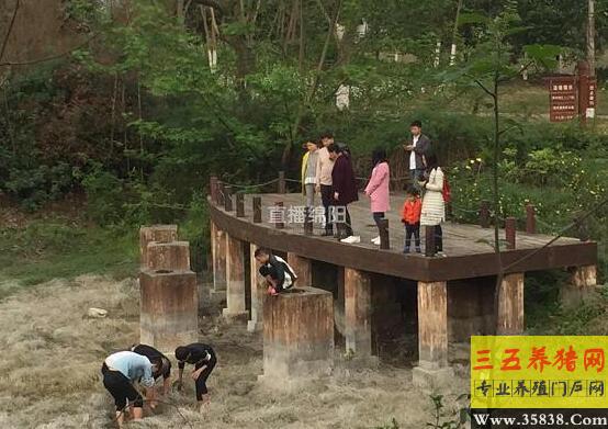 按此在新窗口瀏覽圖片
