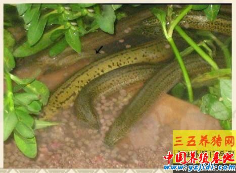 按此在新窗口瀏覽圖片