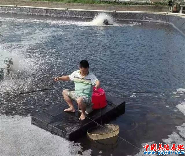 按此在新窗口瀏覽圖片
