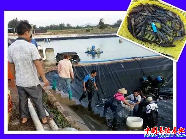 按此在新窗口瀏覽圖片