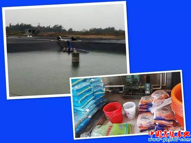 按此在新窗口瀏覽圖片