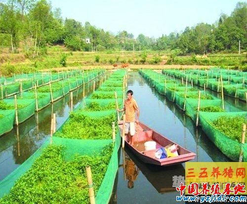 按此在新窗口瀏覽圖片