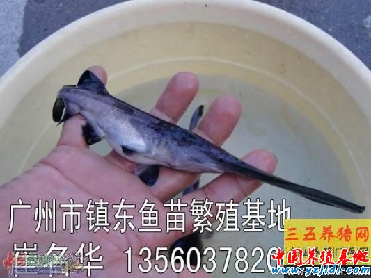 按此在新窗口瀏覽圖片