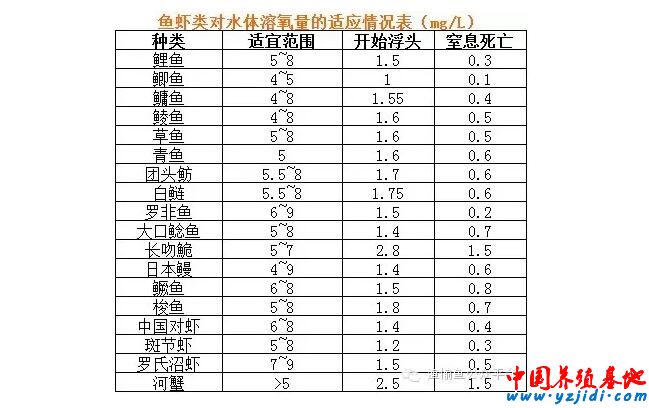 缺氧死魚、螃蟹上岸！高溫悶熱天池塘水質的7大管理措施！
