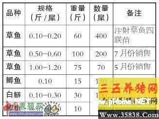按此在新窗口瀏覽圖片