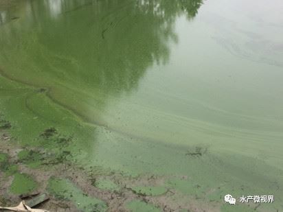 中國養殖基地 yzjidi.com