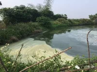 中國養殖基地 yzjidi.com
