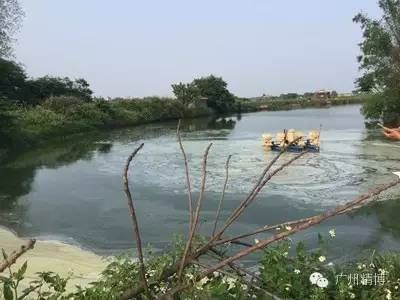 中國養殖基地 yzjidi.com
