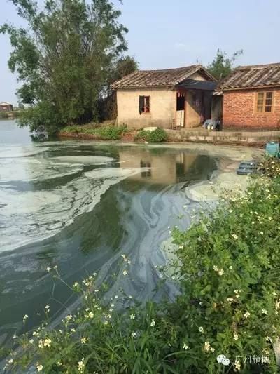 中國養殖基地 yzjidi.com