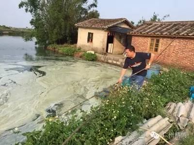 中國養殖基地 yzjidi.com