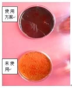 中國養殖基地 yzjidi.com