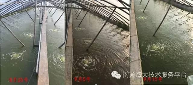 中國養殖基地 yzjidi.com