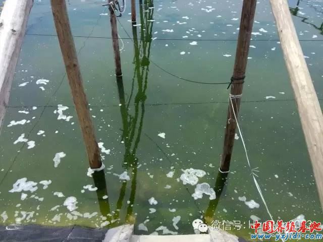 中國養殖基地 yzjidi.com