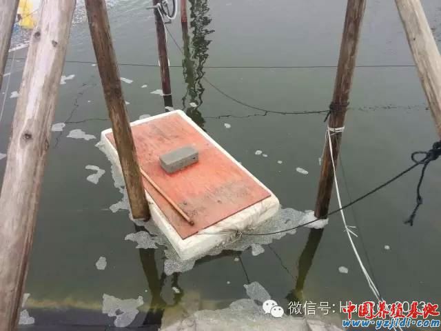 中國養殖基地 yzjidi.com