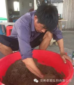中國養殖基地 yzjidi.com