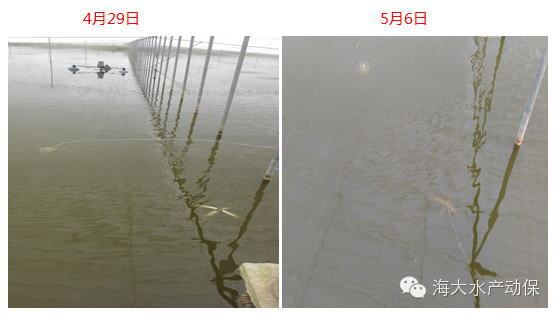 中國養殖基地 yzjidi.com