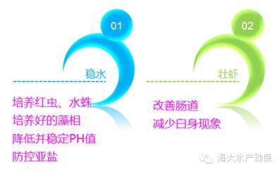 中國養殖基地 yzjidi.com