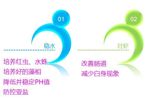 中國養殖基地 yzjidi.com