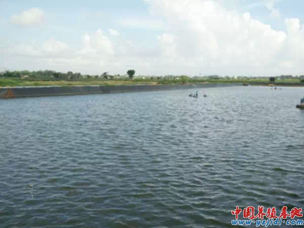 中國養殖基地 yzjidi.com