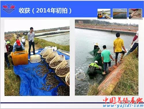 中國養殖基地 yzjidi.com