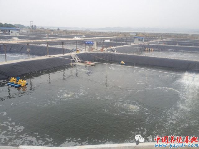 中國養殖基地 yzjidi.com