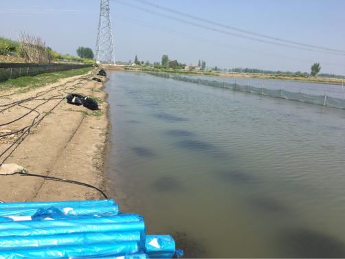 中國養殖基地 yzjidi.com