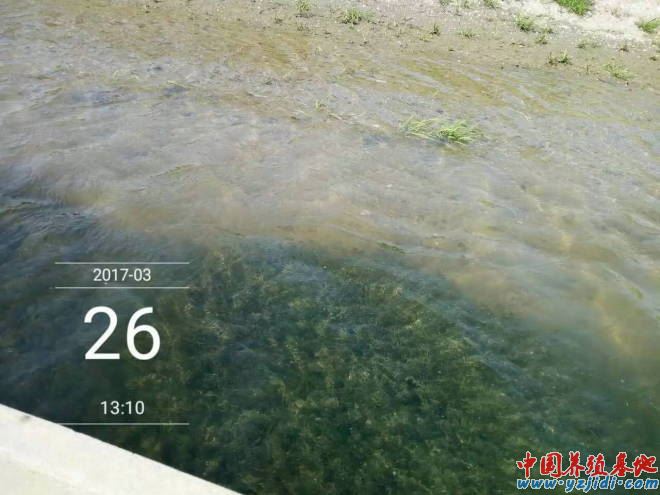 中國養殖基地 yzjidi.com