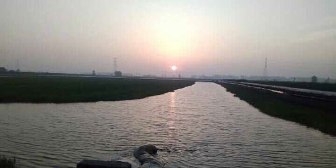 中國養殖基地 yzjidi.com