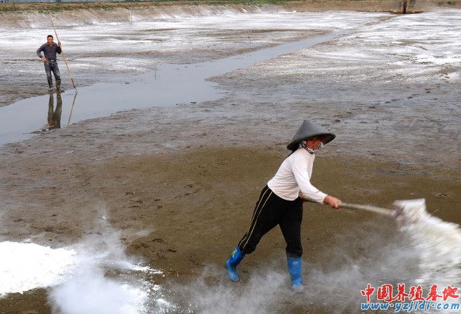 中國養殖基地 yzjidi.com