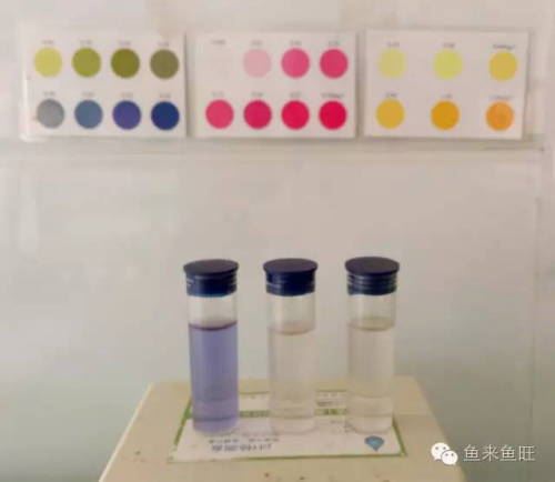 中國養殖基地 yzjidi.com